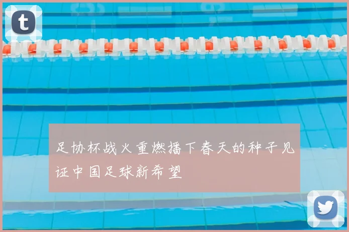 足协杯战火重燃播下春天的种子见证中国足球新希望
