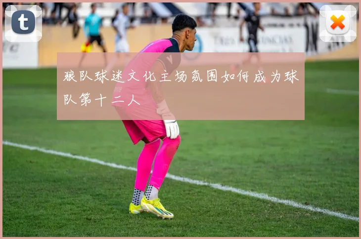 狼队球迷文化主场氛围如何成为球队第十二人