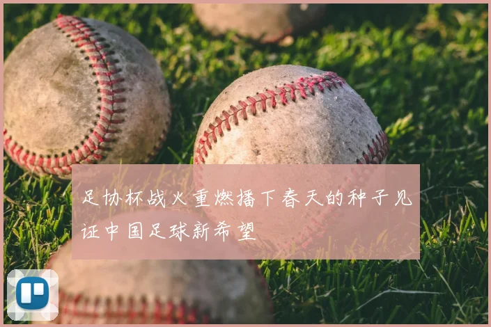 足协杯战火重燃播下春天的种子见证中国足球新希望