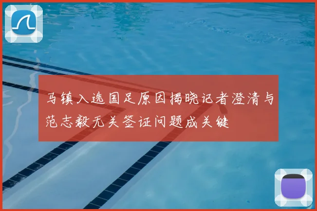 马镇入选国足原因揭晓记者澄清与范志毅无关签证问题成关键