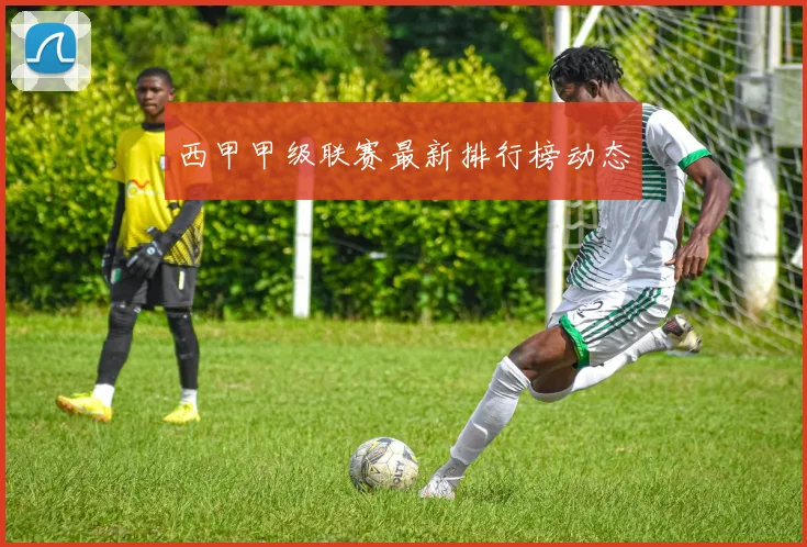 西甲甲级联赛最新排行榜动态