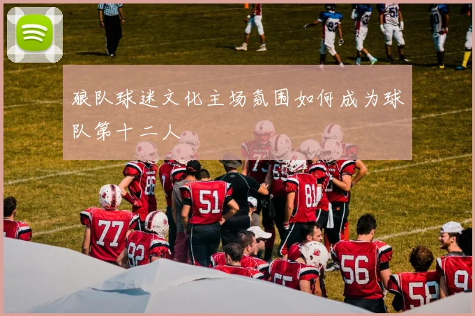 狼队球迷文化主场氛围如何成为球队第十二人